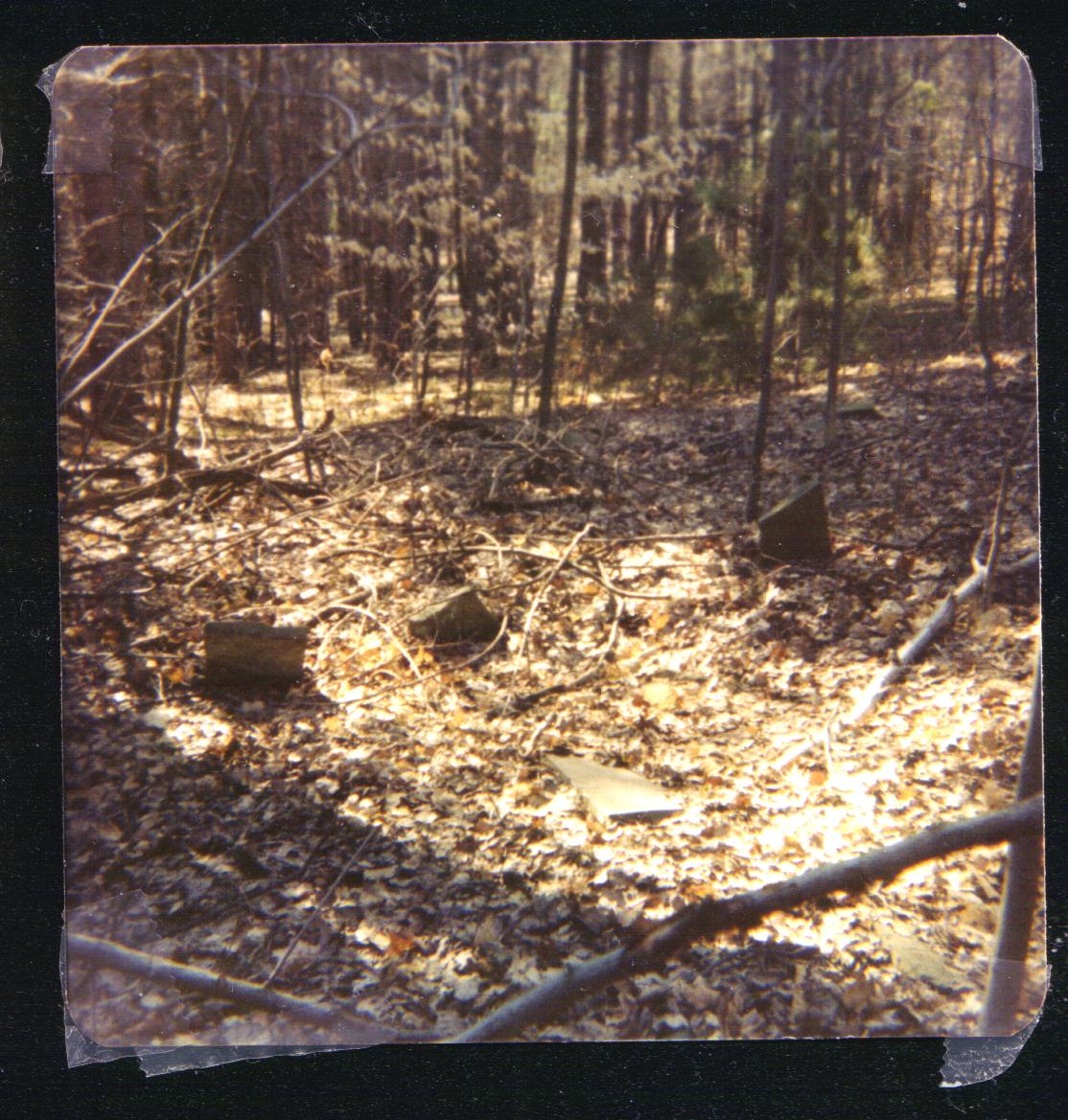 A Visit to a Forgotten Burial Ground