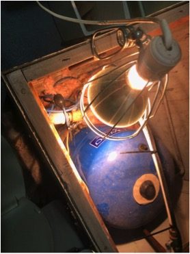 Richford Eyes Building for the Future