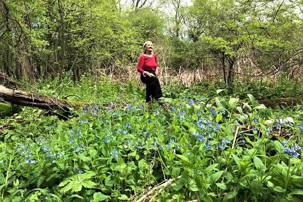 First Annual Bluebell Day held at the Farmstead