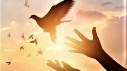 Stay Light in Spirit