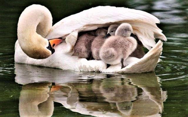 We Are All Mothers in Spirit     