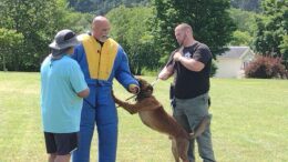 Owego Police Department hosts ST Police Canine Association training