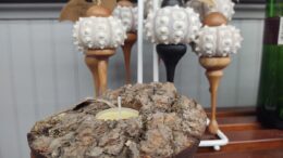 Gallery Forty-One announces their June Member of the Month