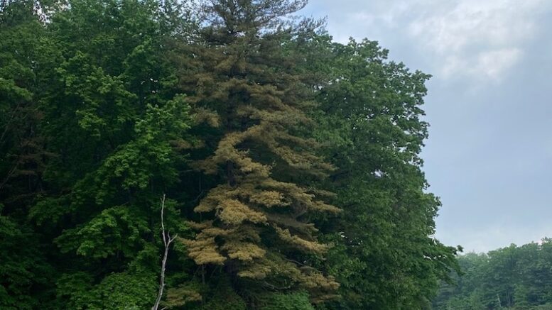 Letter: Climate change is visible