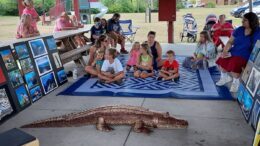 Australia Comes To Candor