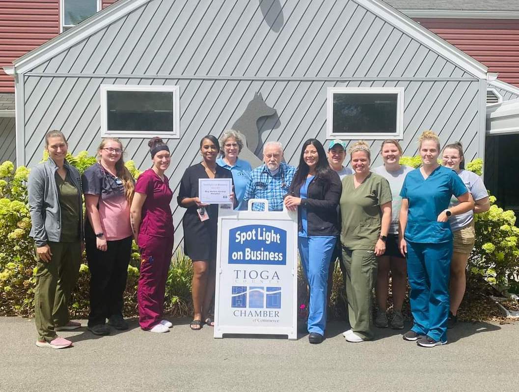 Day Hollow Animal Hospital has the business spotlight for August