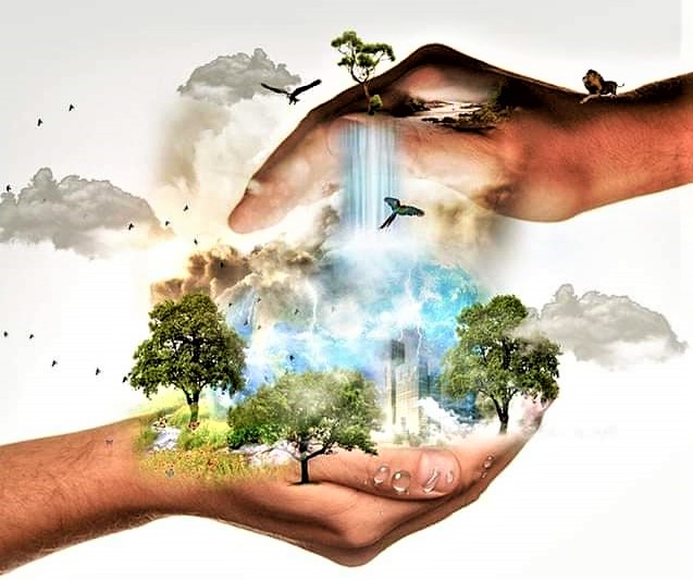 Step Out and Feel the Light