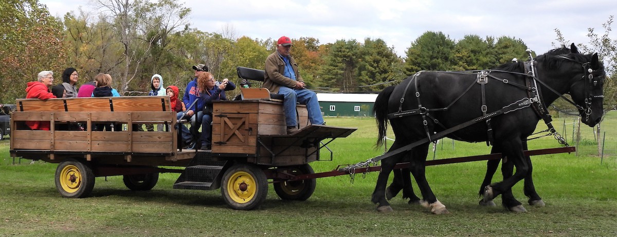 Newark Valley Apple Festival offers a taste of history; October 1-2 event draws a good crowd