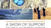 ‘A Show of Support’ to open at TAC’s Gallery