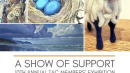 ‘A Show of Support’ to open at TAC’s Gallery