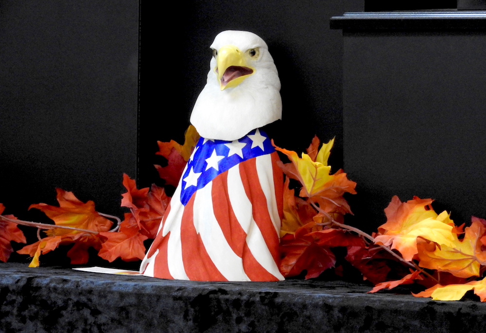 Candor Fall Festival; Held October 79 in Candor, New York Owego