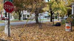 Trick-or-Treat Safety 