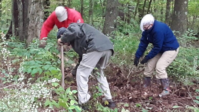 The Importance of Maintaining the Greenway