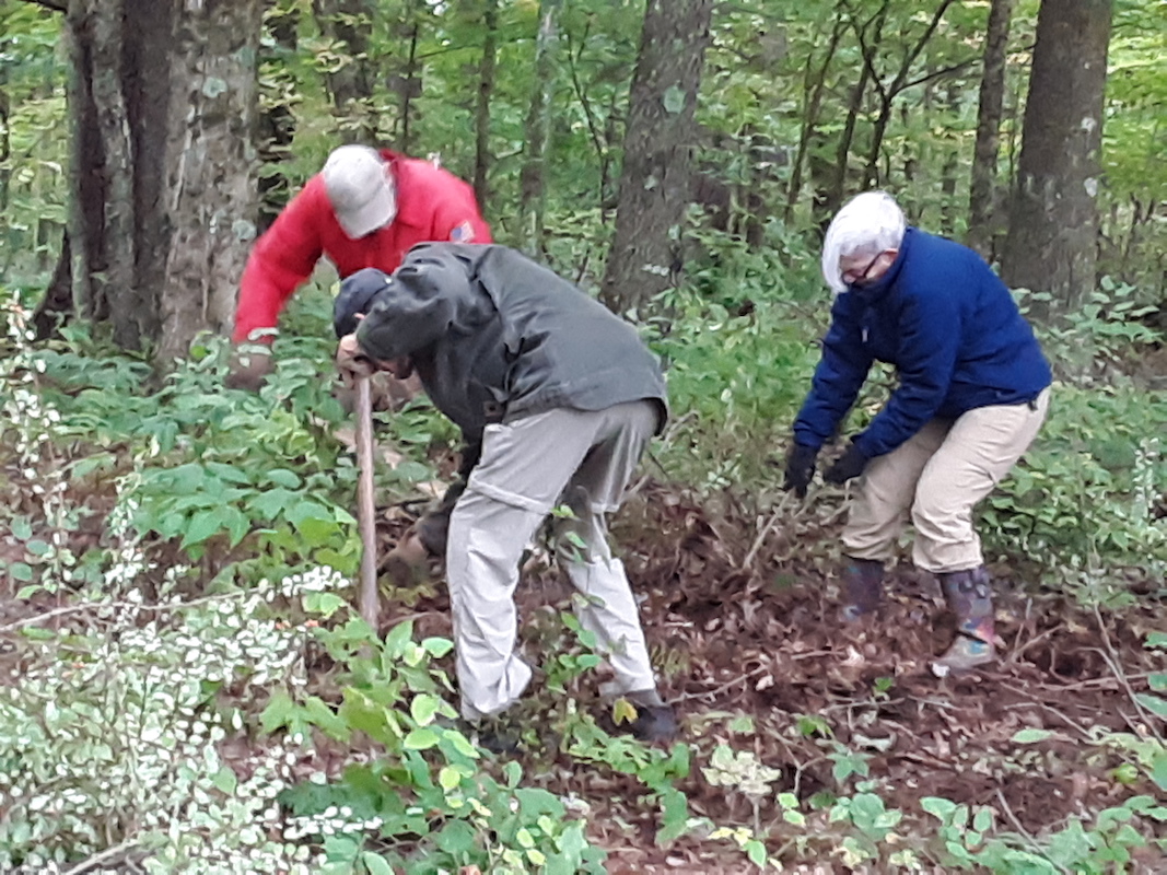 The Importance of Maintaining the Greenway Owego Pennysaver Press
