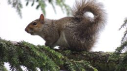 Sharing in the Joy of Christmas (Part Two)