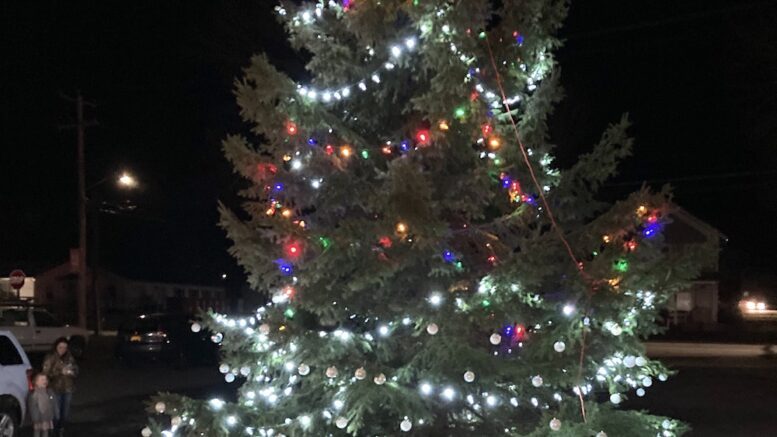 Tree honors veterans this holiday season