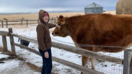 Checking off all 50 states