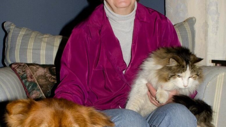 Maddie’s Meadows discontinuing rescue operations