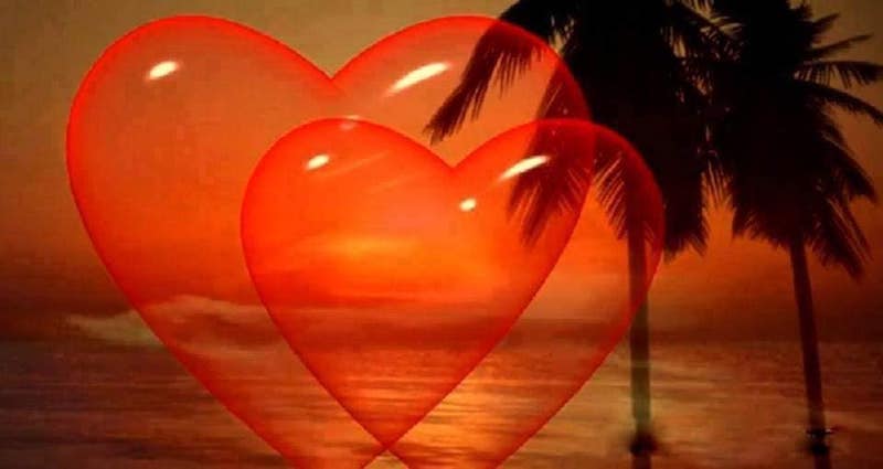 Love for God means to have Love for All; Comfort those affected by war and worldly calamities