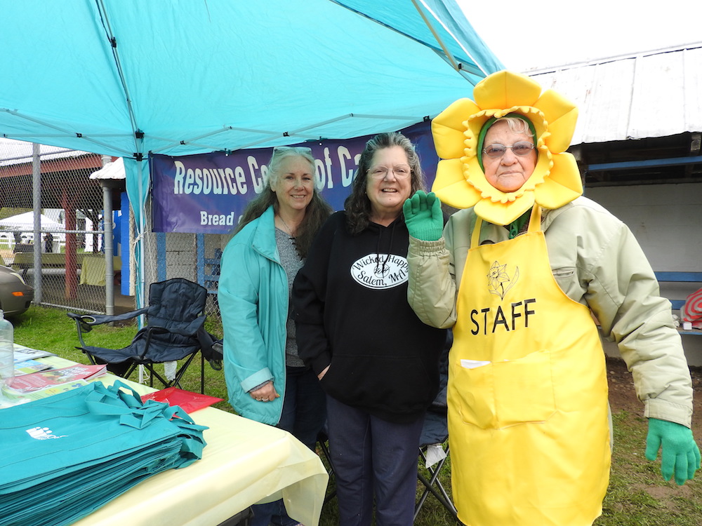 Photos Daffodils celebrated in Candor Owego Pennysaver Press