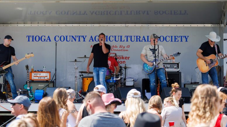 41st Annual Strawberry Festival