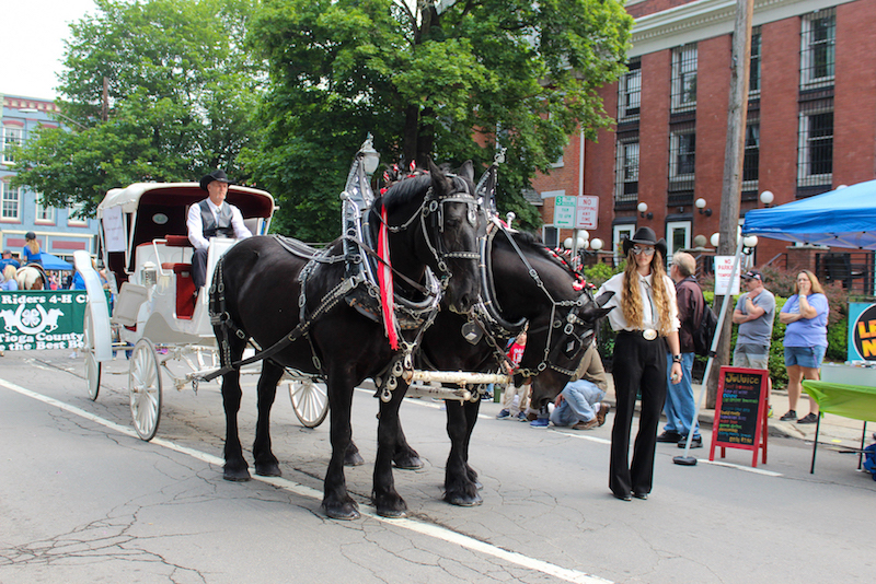 41st Annual Strawberry Festival