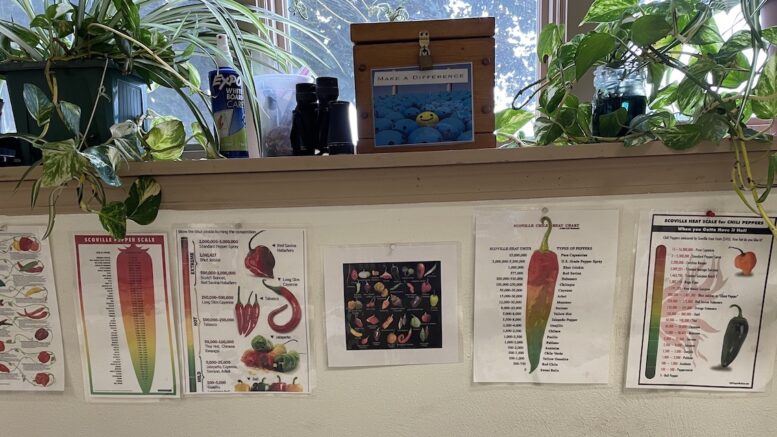 Things are about to heat up during Friday’s Block Party