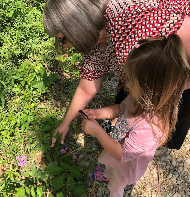 FRC activities at Nichols Pond in Spencer