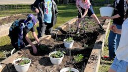 The fruits of their labor