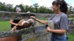 A little slice of heaven