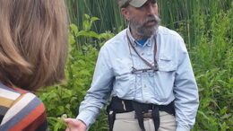 Learning About Wildflower Identification at Wildwood Preserve