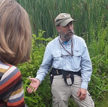 Learning About Wildflower Identification at Wildwood Preserve