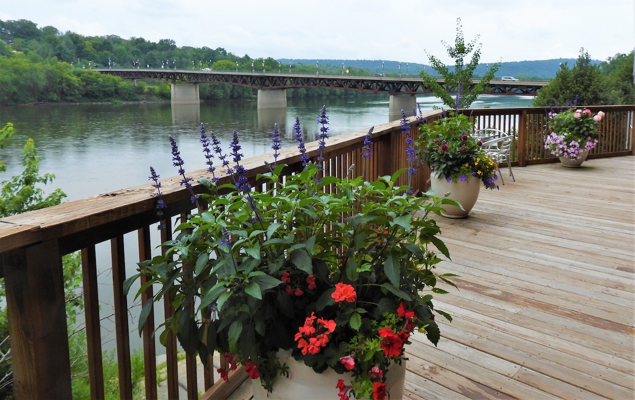 Owego to ‘Rock the Deck’ on August 4