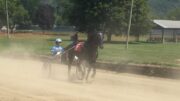 Harness Racing; the Sport that began at the County Fair!