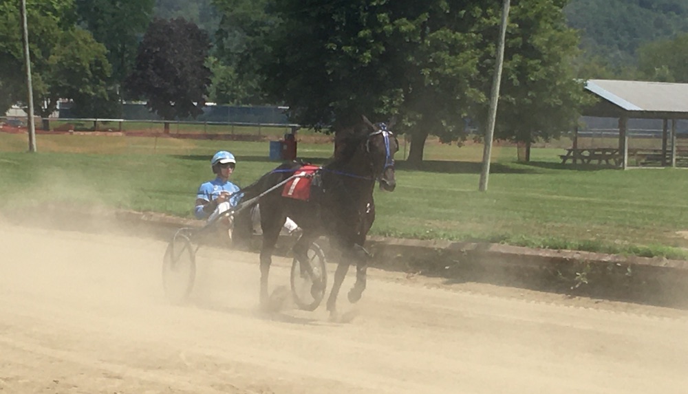 Harness Racing; the Sport that began at the County Fair! Owego
