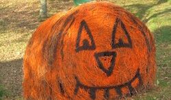 Candor’s Fall Festival