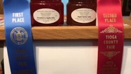Tioga County resident wins Blue Ribbon at the New York State Fair 
