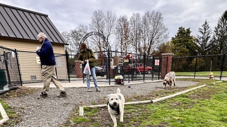 Volunteer event planned at The Rebecca Weitsman Memorial Dog Park