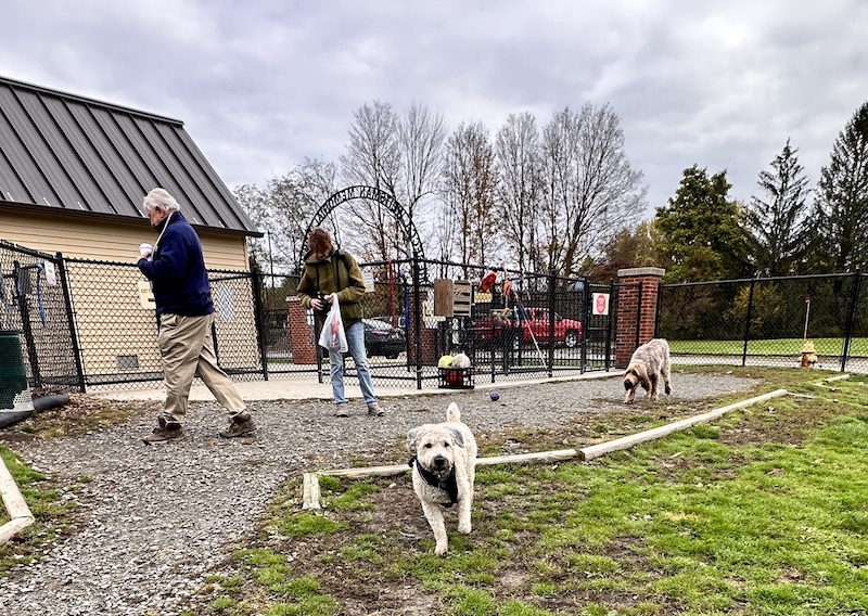 Volunteer event planned at The Rebecca Weitsman Memorial Dog Park