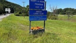 Owego Lions Club to hold ‘Ticket Auction’