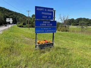 Owego Lions Club to hold ‘Ticket Auction’