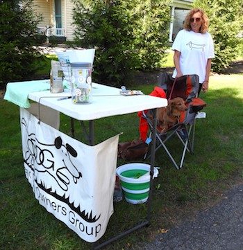 Owego Porchfest 2023