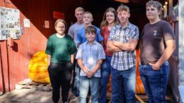 The Giant Pumpkin Auction