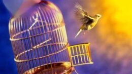 Replace Busy with Easy; I have an easy nature and have time for everything