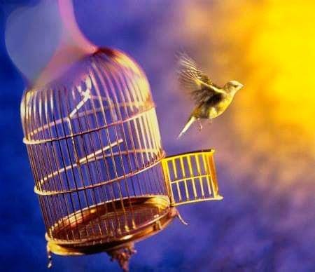 Replace Busy with Easy; I have an easy nature and have time for everything