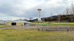 Tioga County D.A. to pursue animal cruelty charges in fatal horse fire