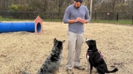 Volunteer appreciation event held at ‘Rebecca Weitsman Memorial Dog Park’