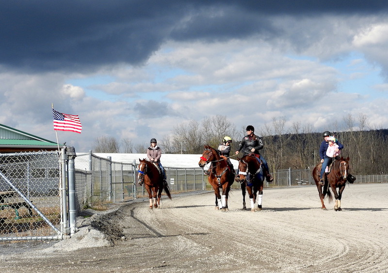 Walking in solidarity and support; Memorial walk held for the 30 horses that perished in the November 9 fire