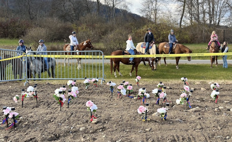 Walking in solidarity and support; Memorial walk held for the 30 horses that perished in the November 9 fire
