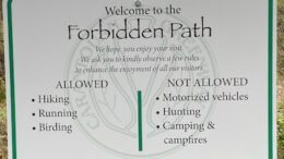 Forbidden Path; Indigenous History Right Under Our Feet